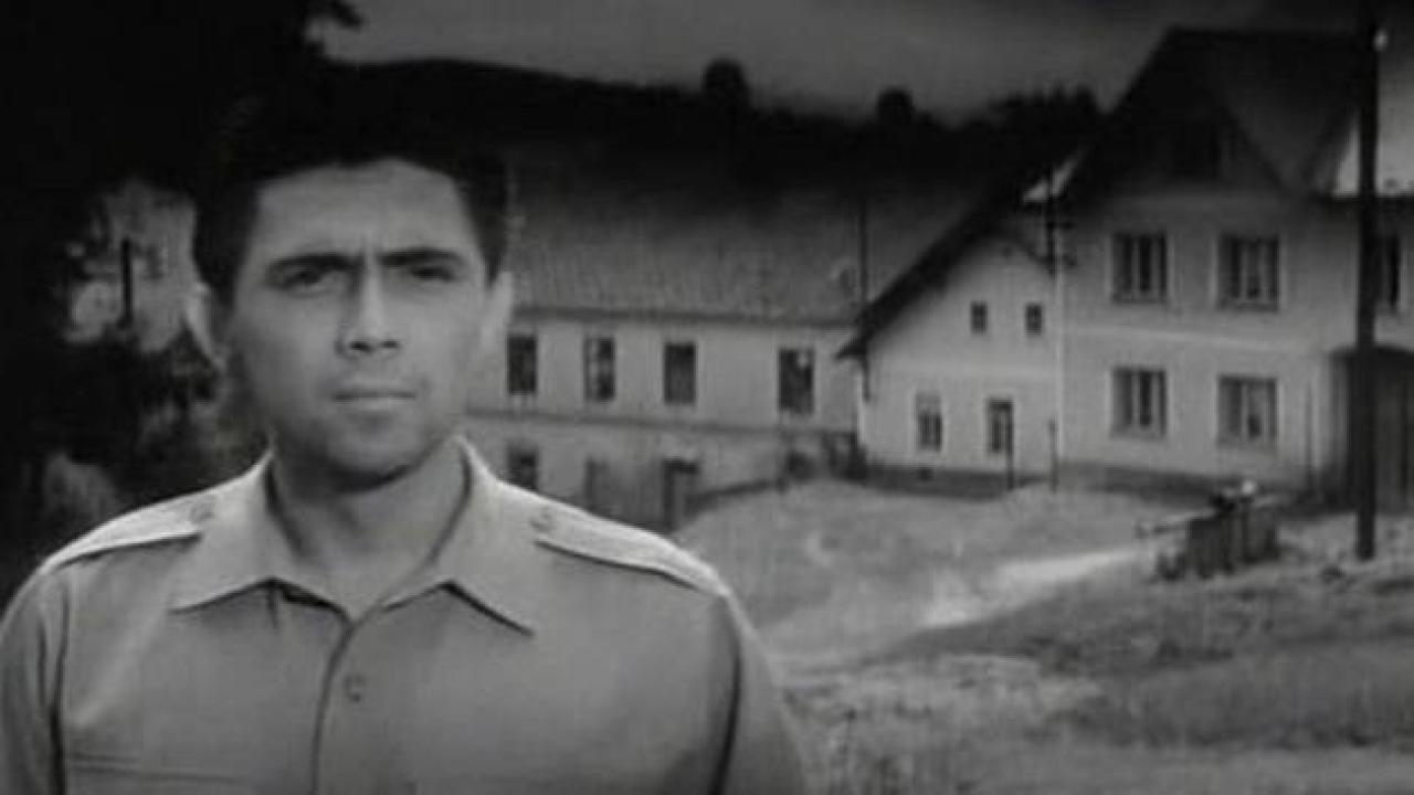 Zelené obzory