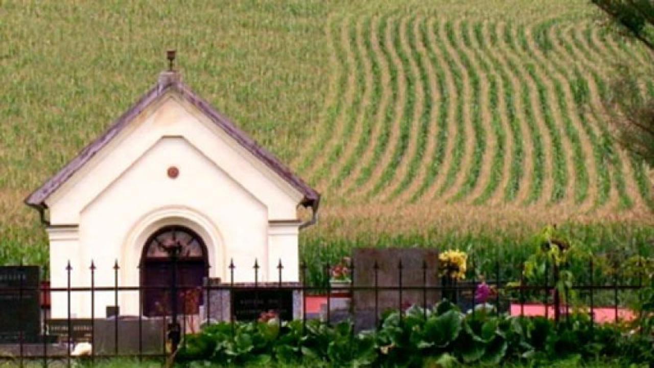 Vesnicopis / 19.08.2025, 02:10