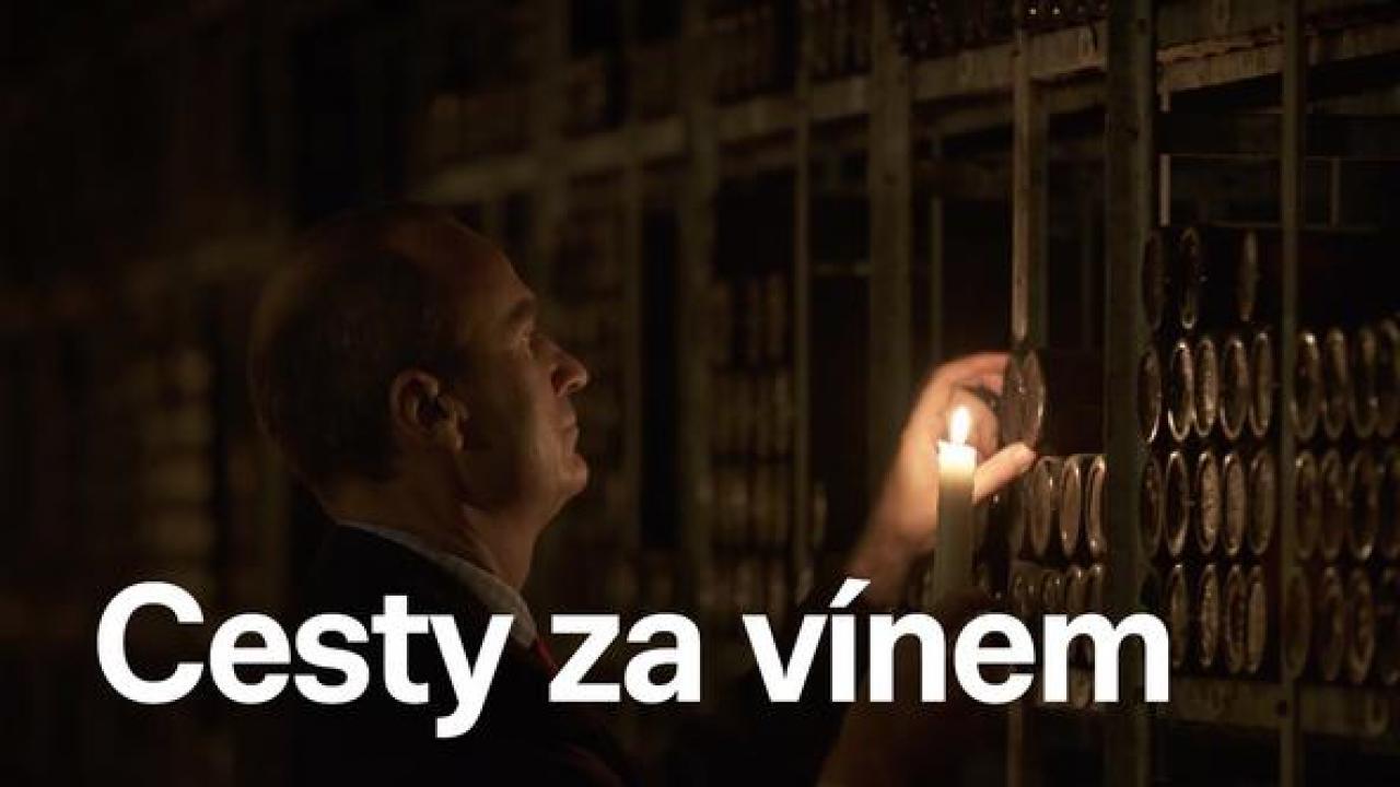 Cesty za vínem