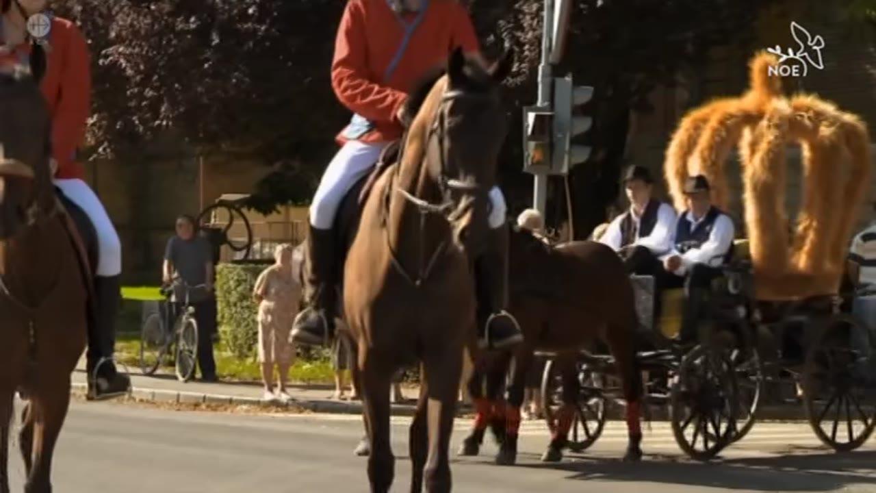 Srbsko: Semínko naděje