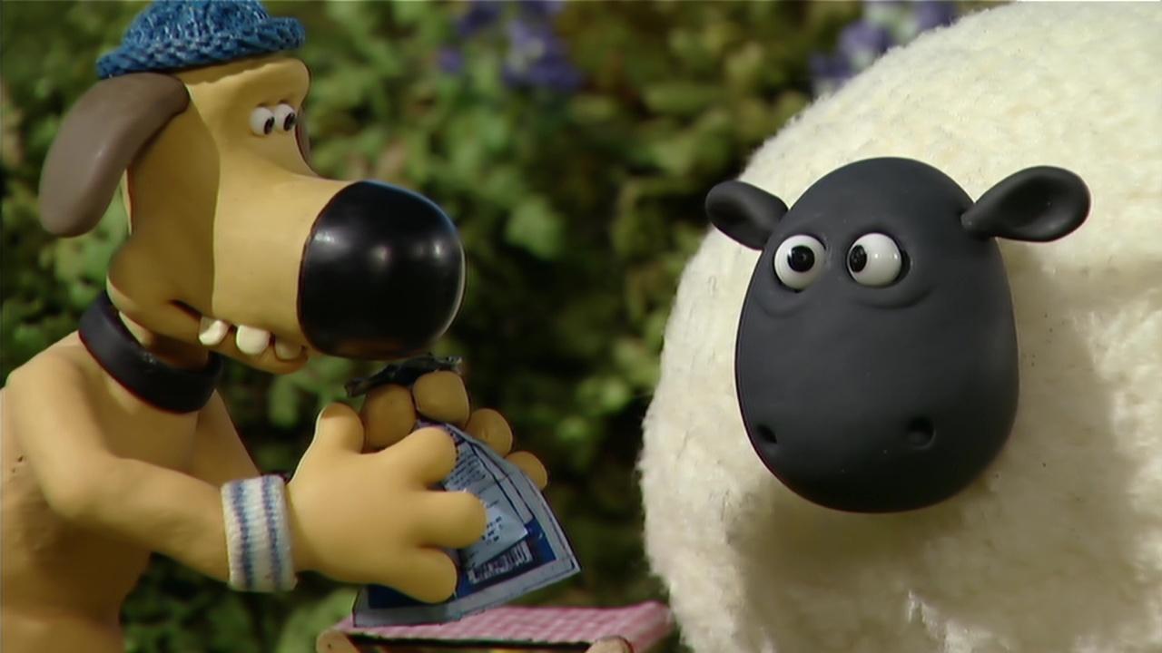 Ovecka Shaun