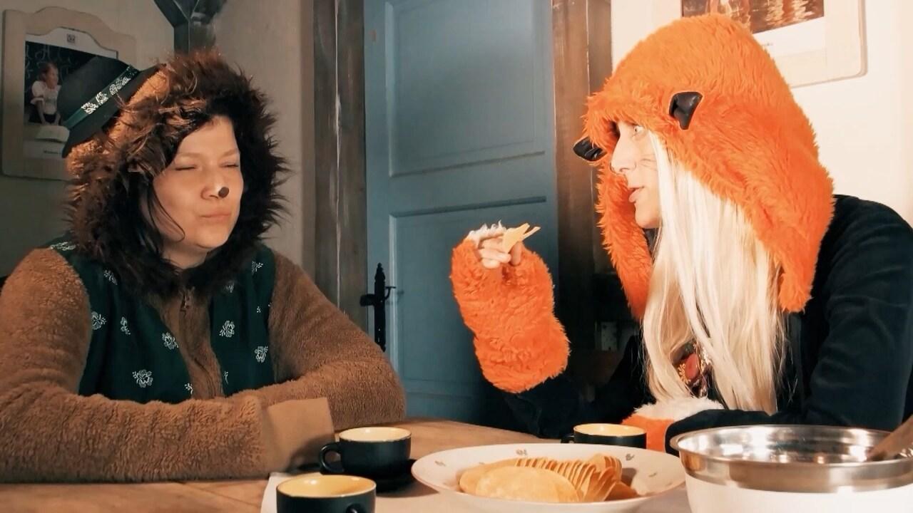 Rozprávky líšky a vlka