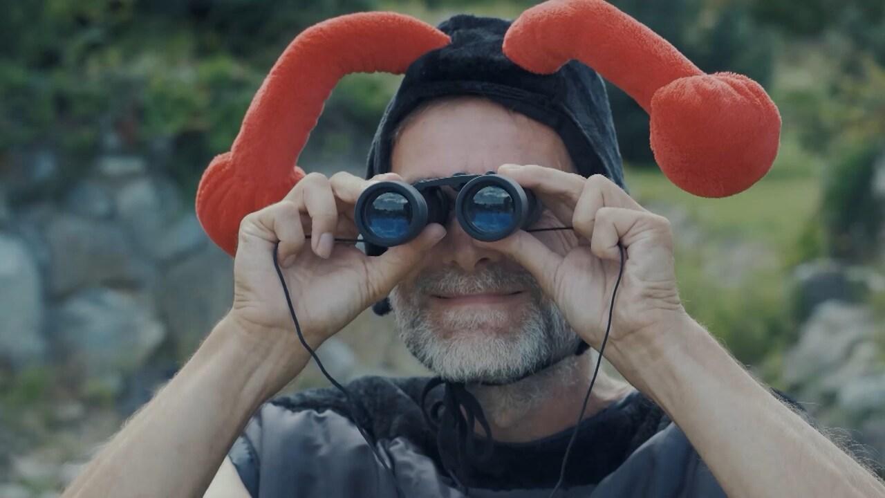 Rozprávky líšky a vlka