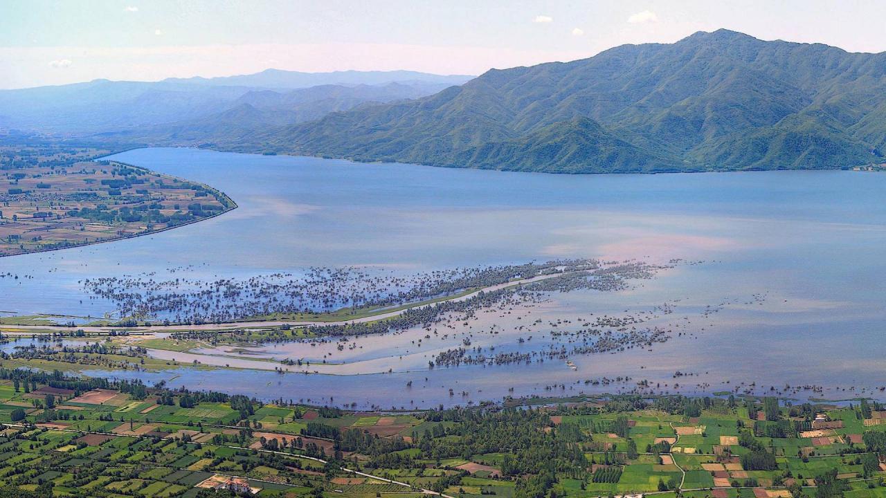 Kerkini - A Greek Bird Haven