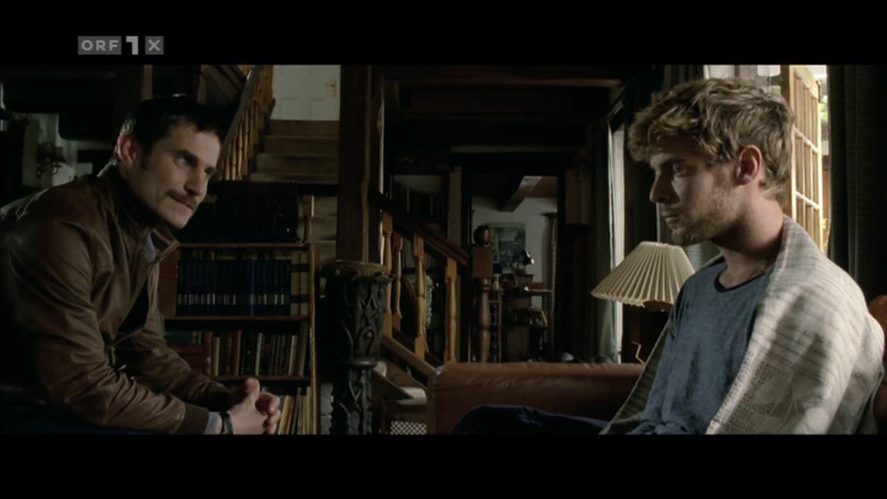 Flight of the Storks