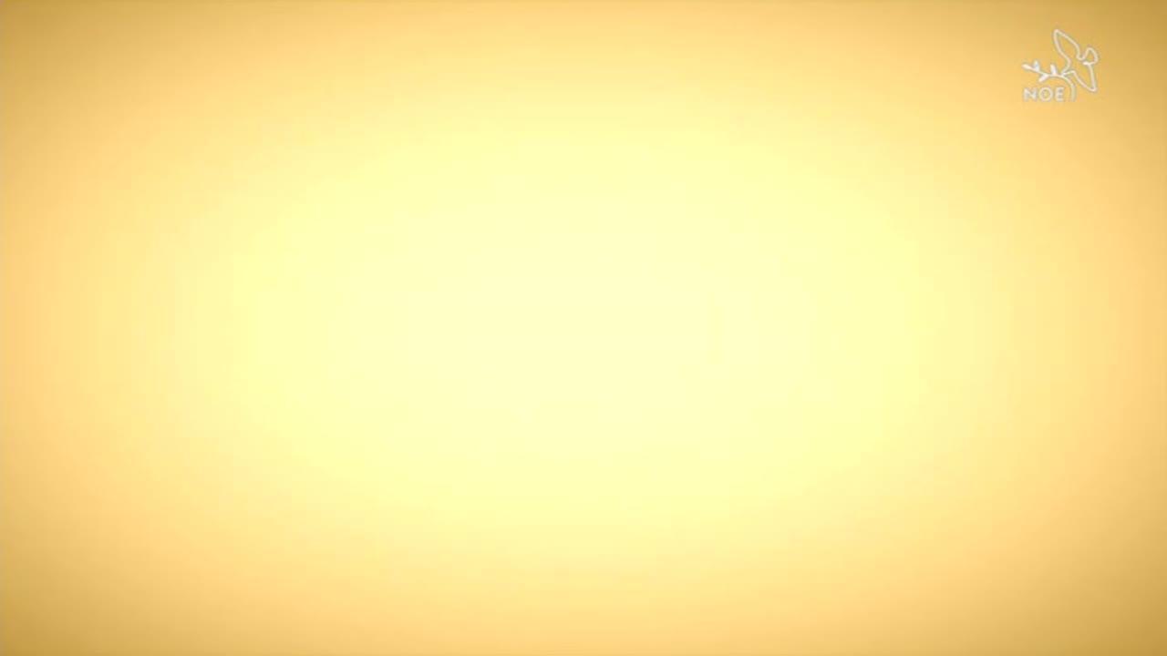 Mariánské Korunovace V Dějinách
