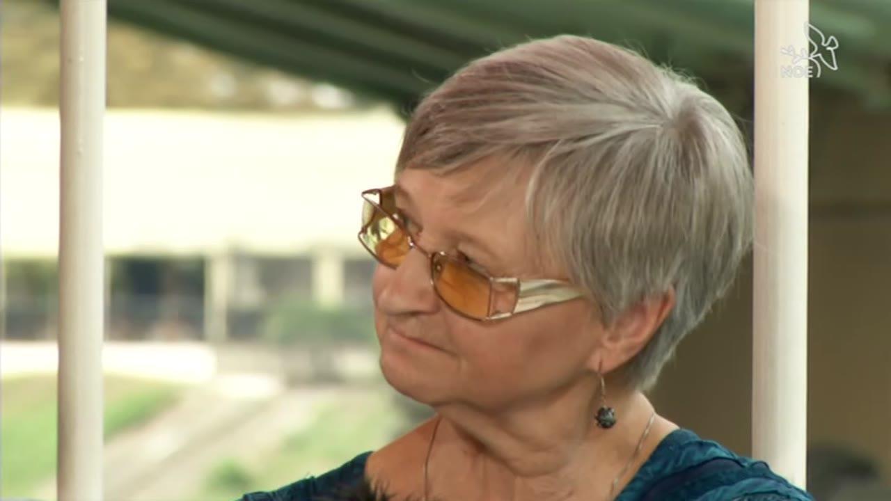 Neboj se doplout aneb Umění doprovázet