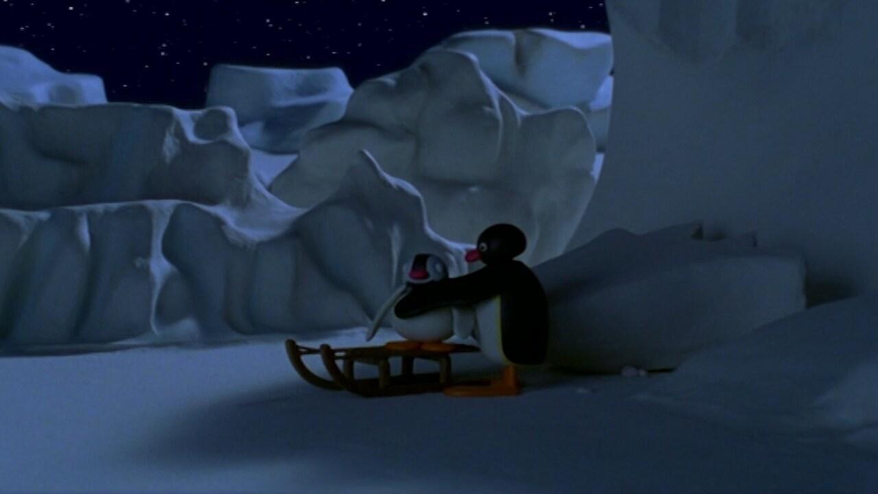 Pingu