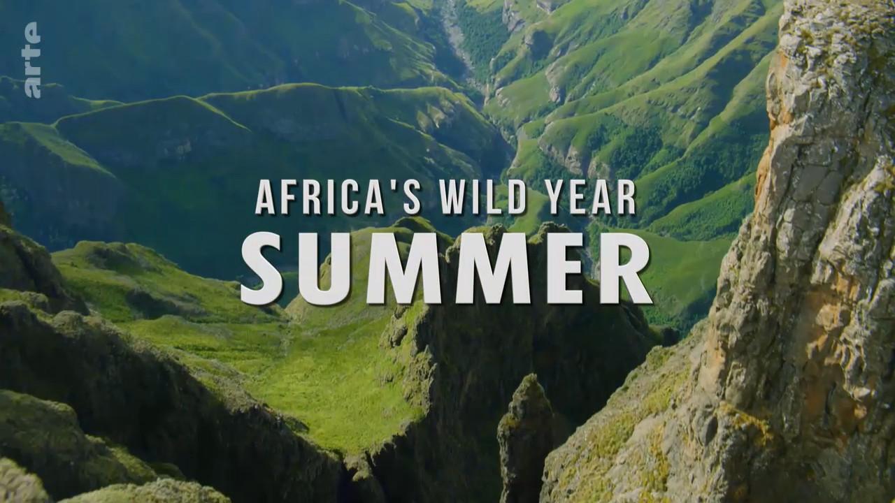 Africa's Wild Year / 04.11.2025, 09:20