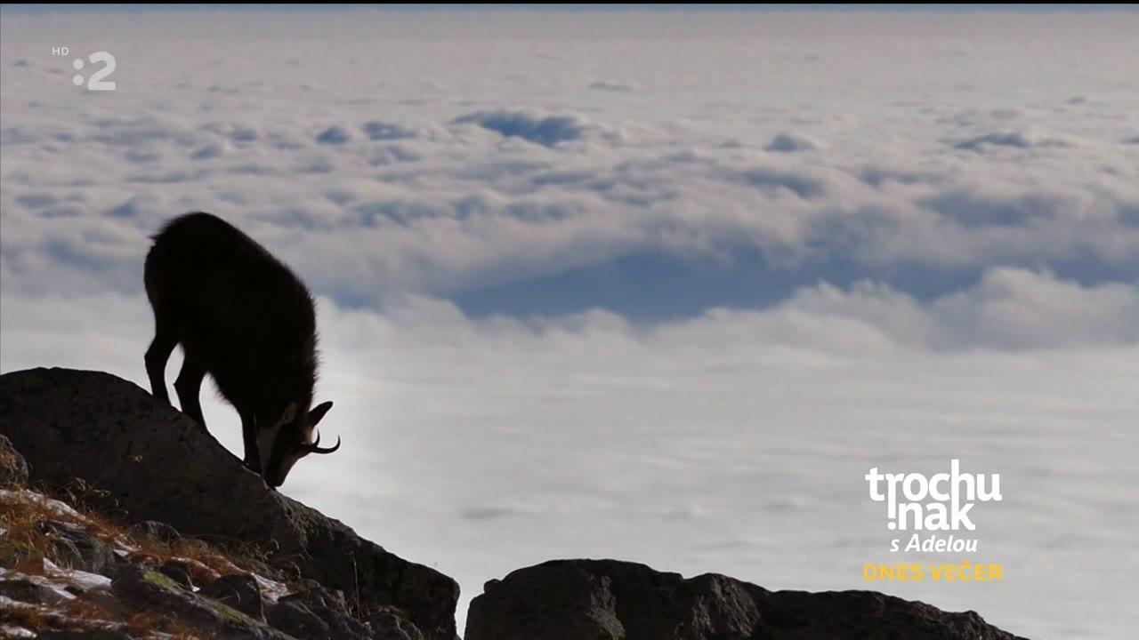 Sloboda pod nákladom