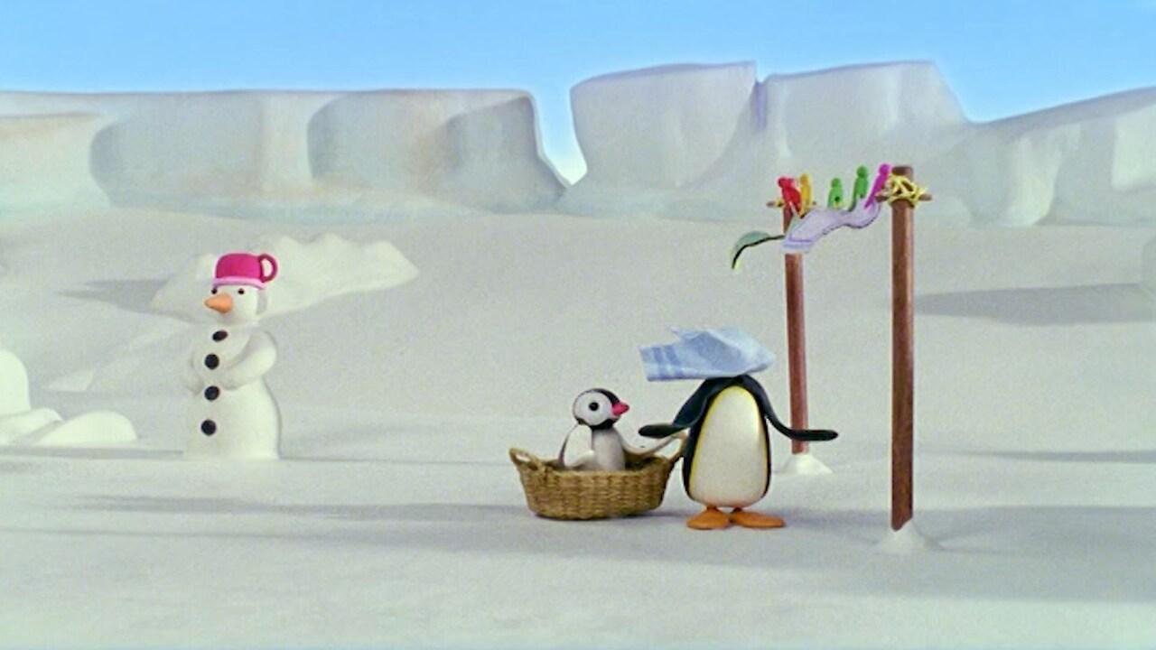 Pingu