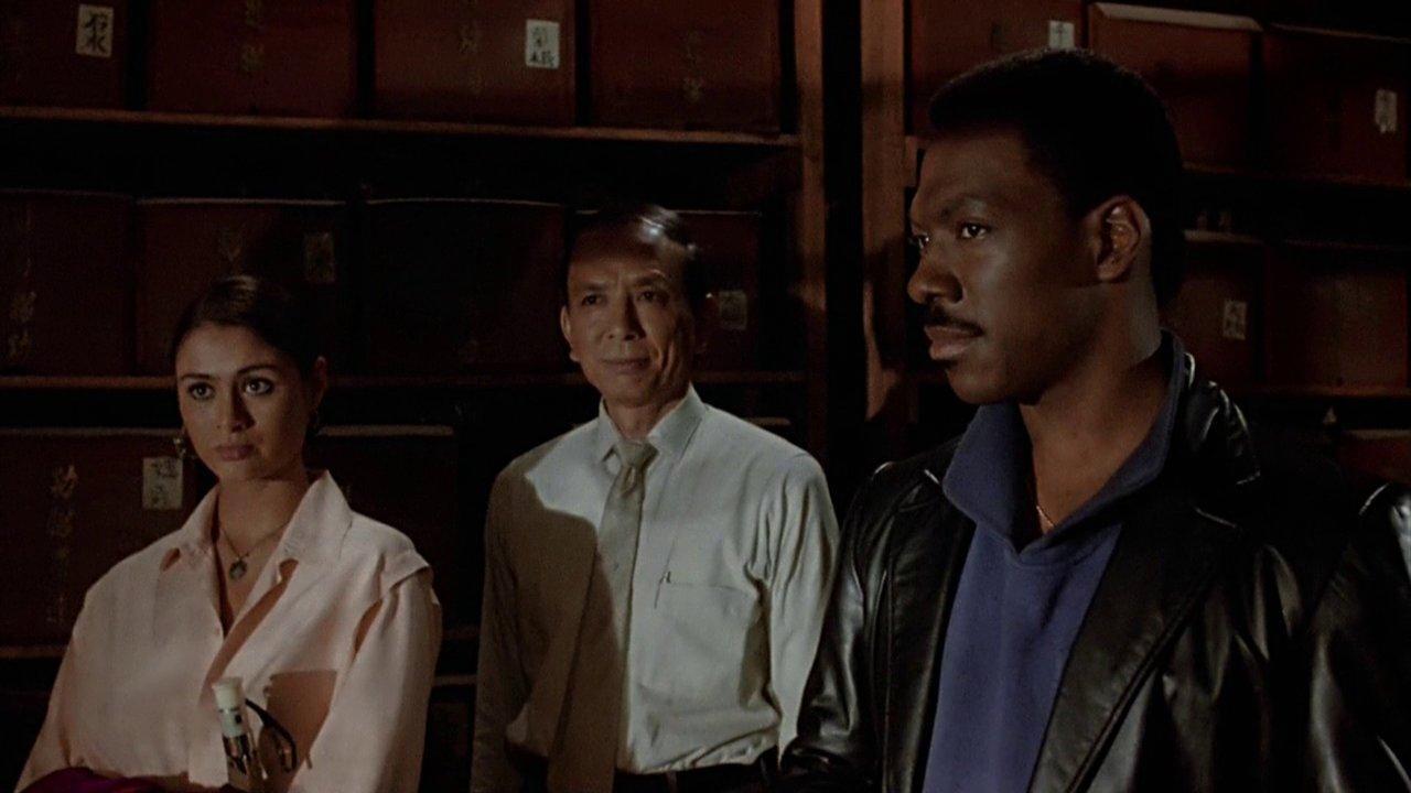 Golden Child, The (1986)