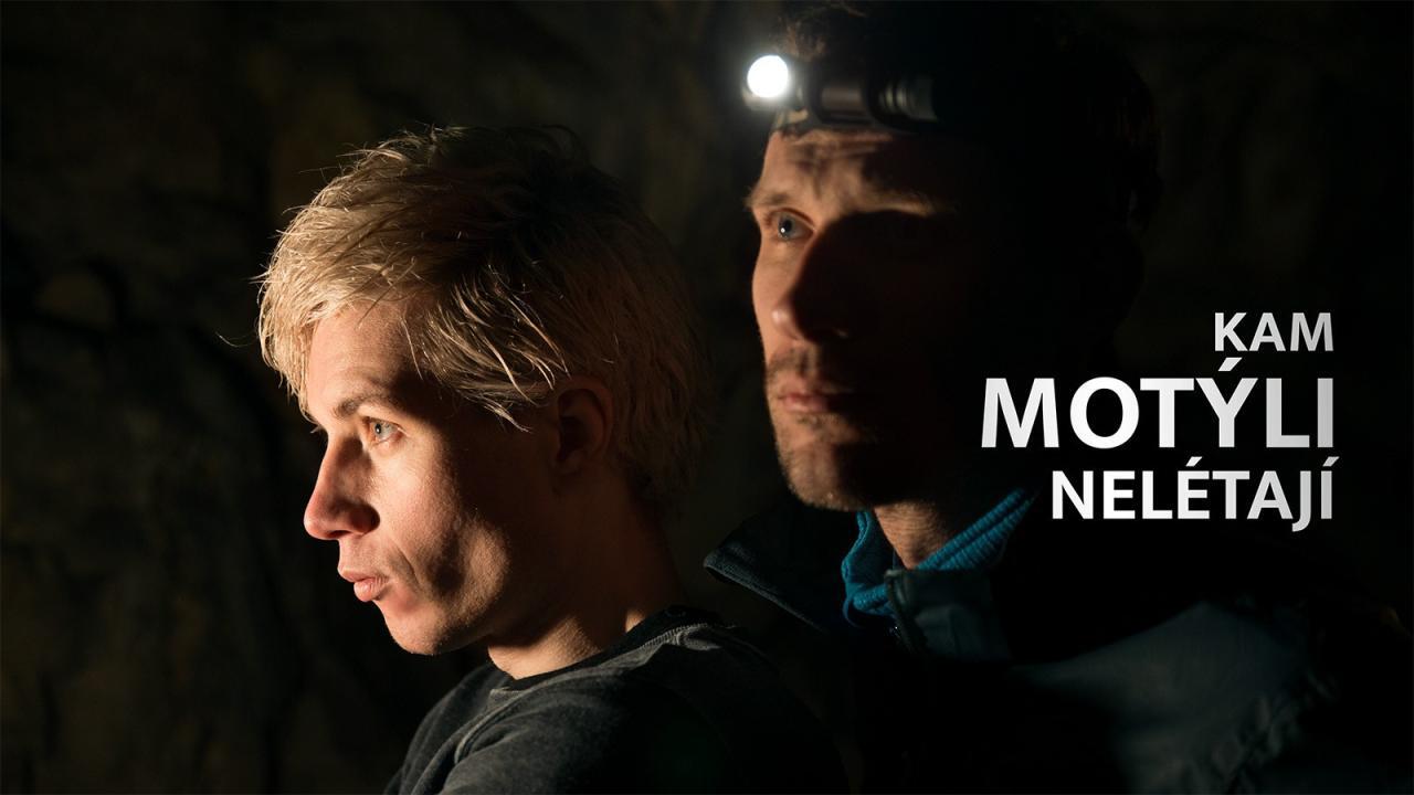 Kam motýli nelétají