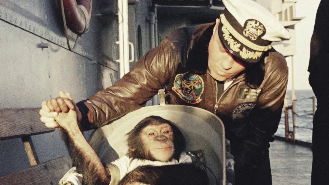 Ham, Astrochimp #65