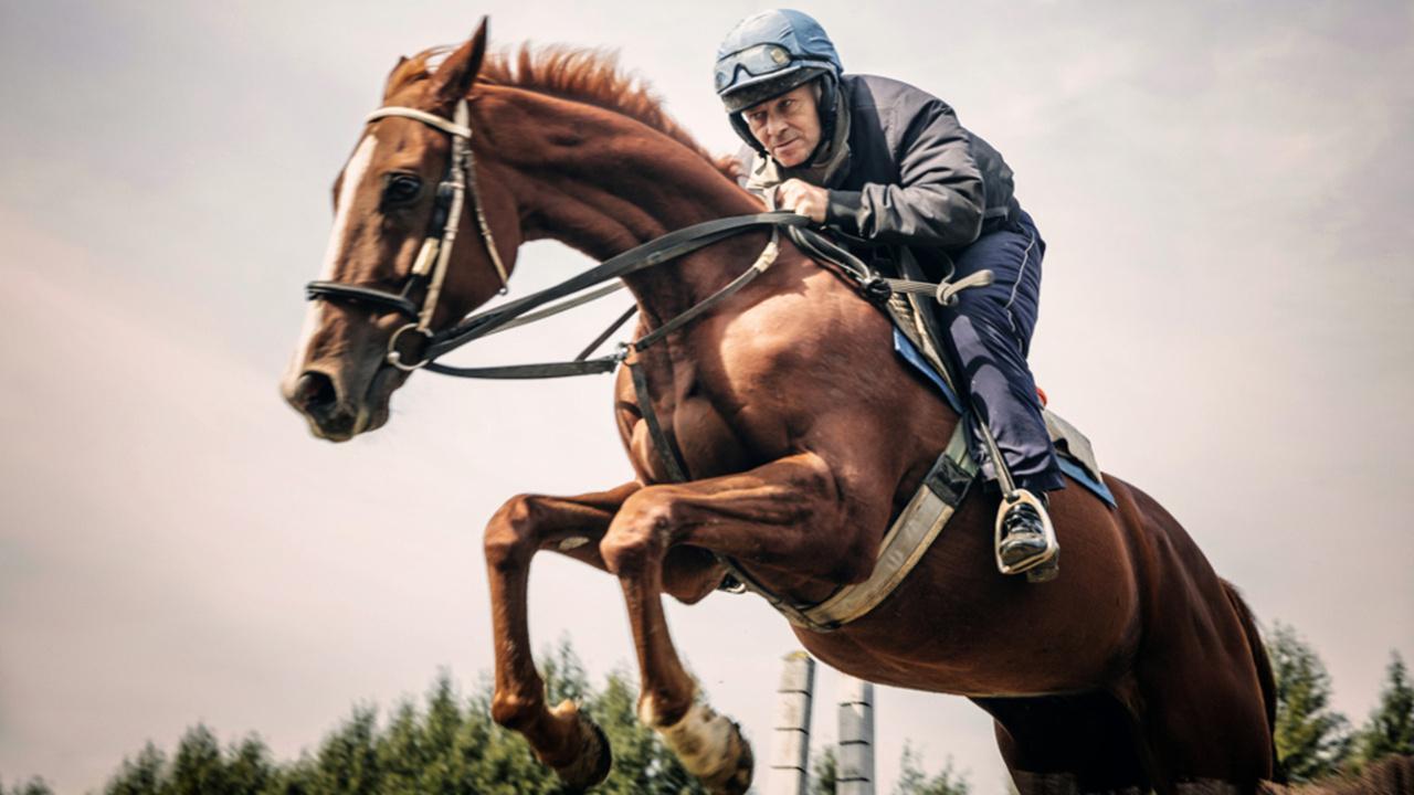 Žokejové - Cesta na Velkou pardubickou