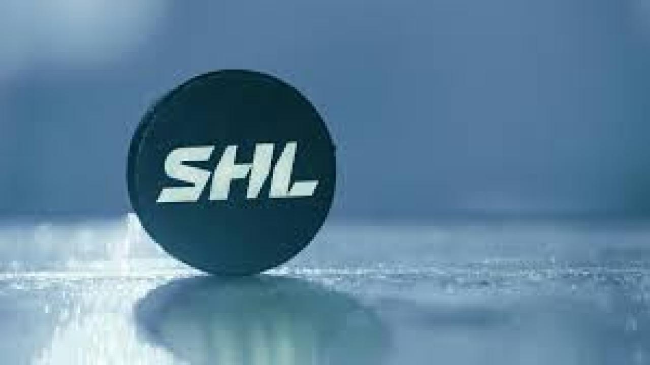 Lední hokej: Brynäs - Färjestad