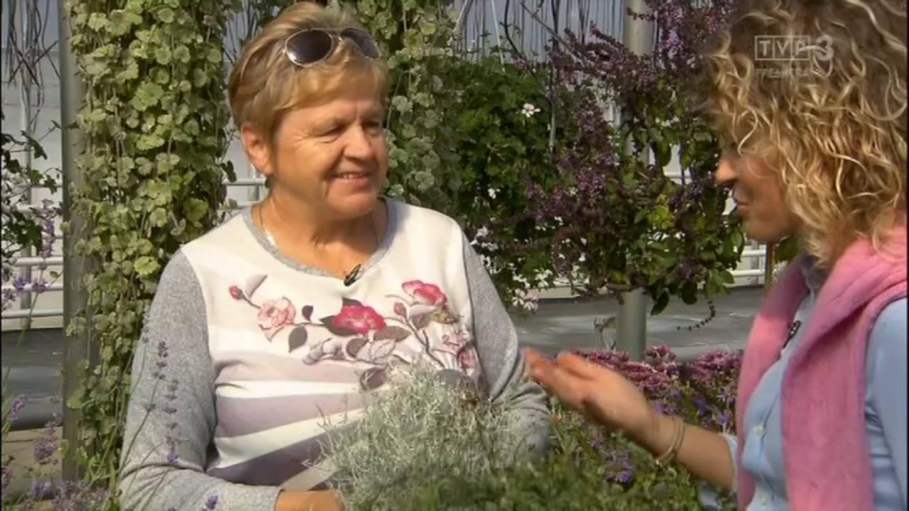 Działka na balkonie