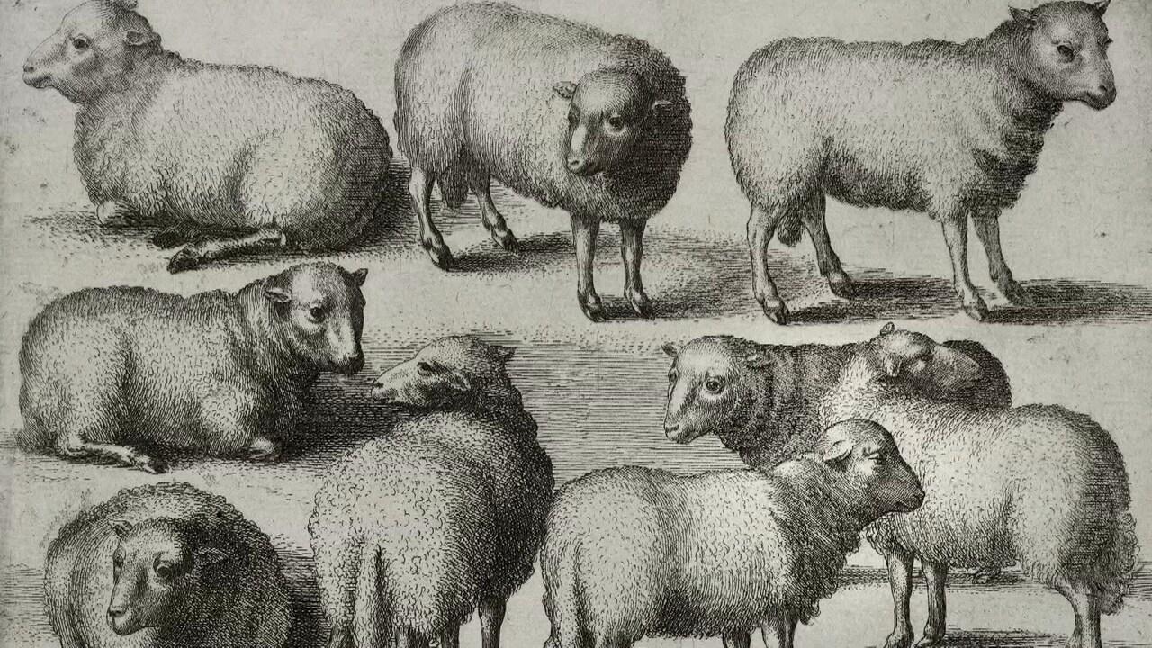 História európskeho vidieka