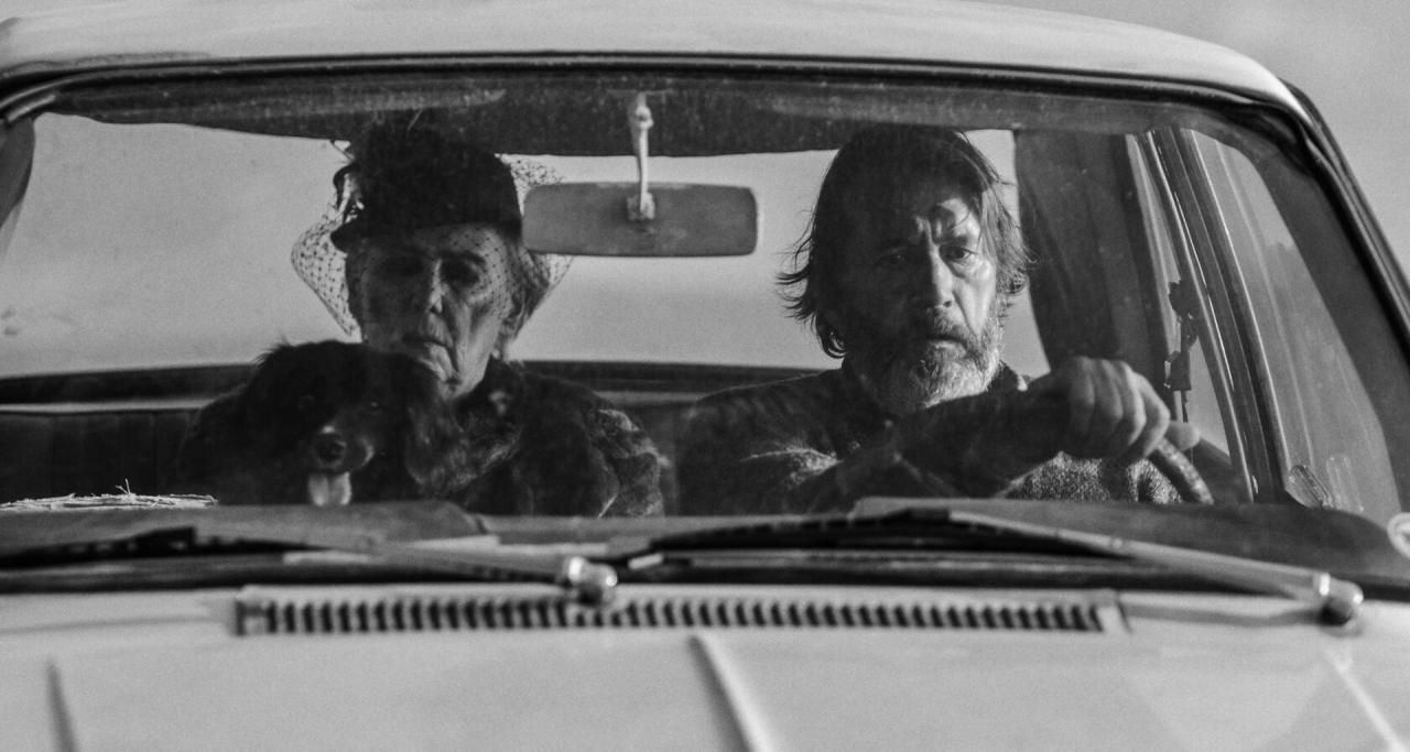 Driving Mum