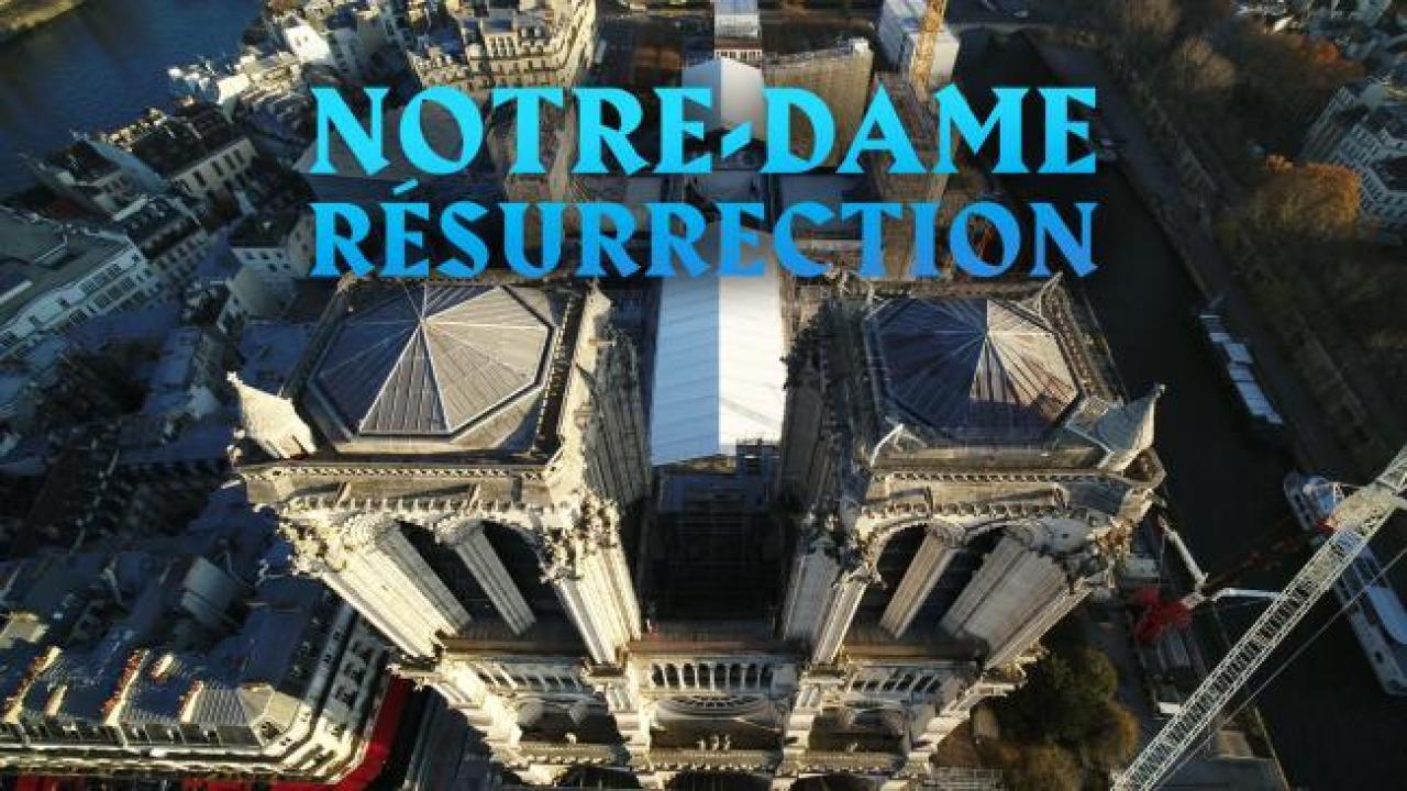 Notre-Dame: Příběh rekonstrukce