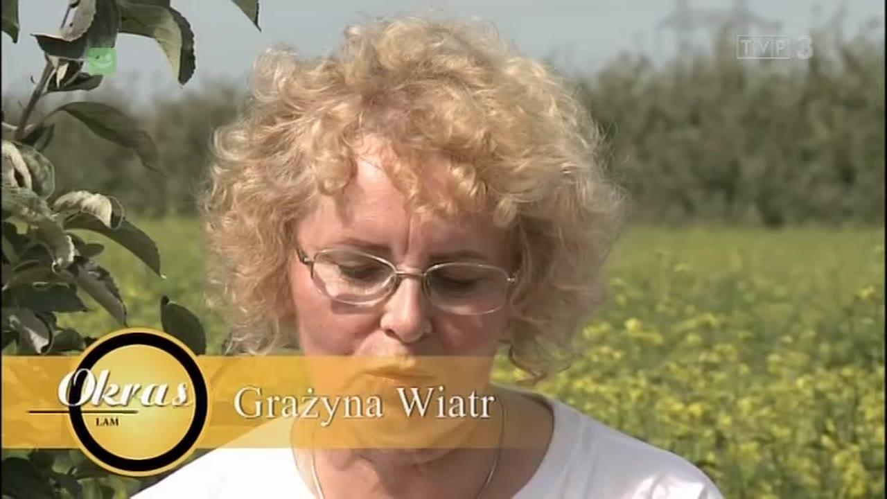 Okrasa łamie przepisy - Kuchnia sokiem płynąca
