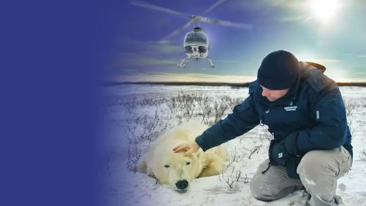 Arktičtí zachránci zvířat