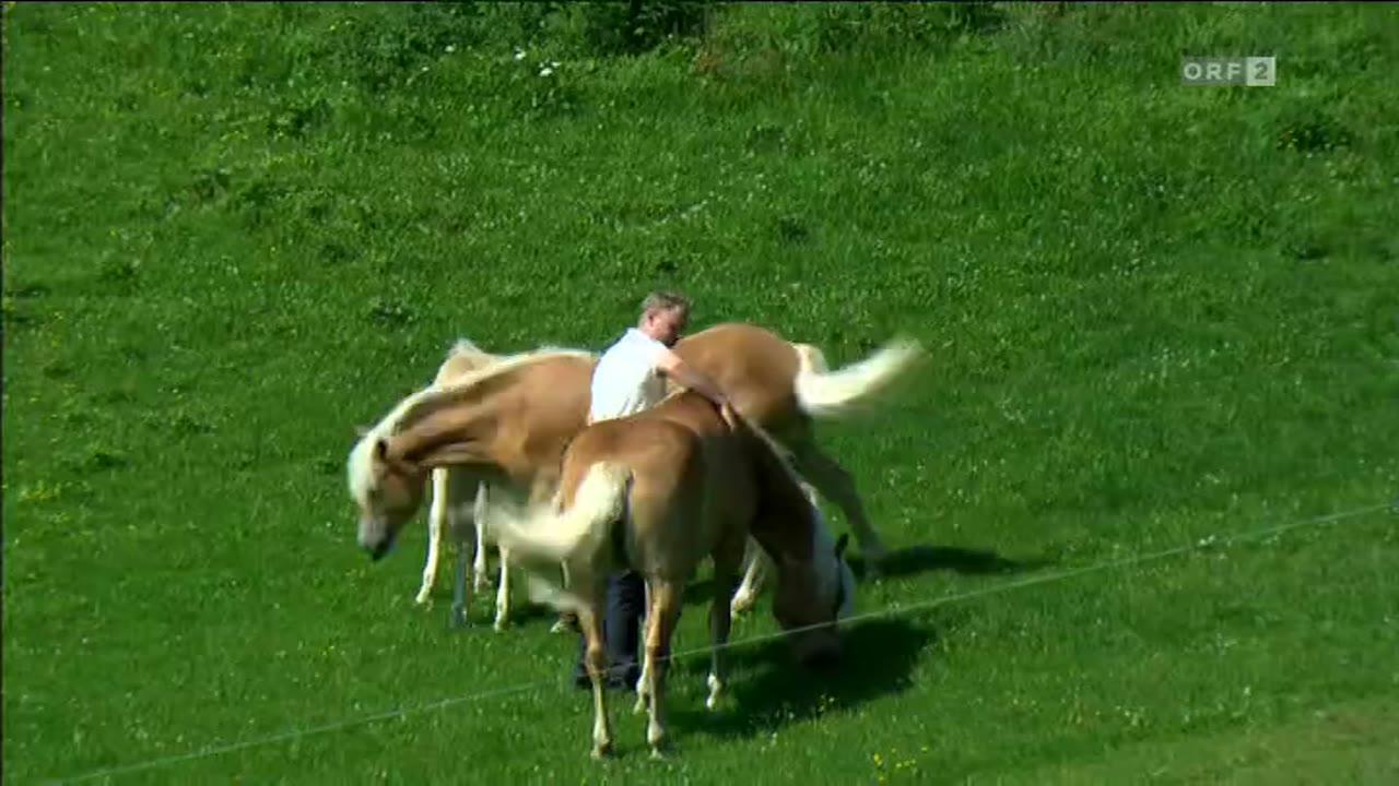 Die Wiener Alpen - Eine kulinarisch kulturelle Landpartie