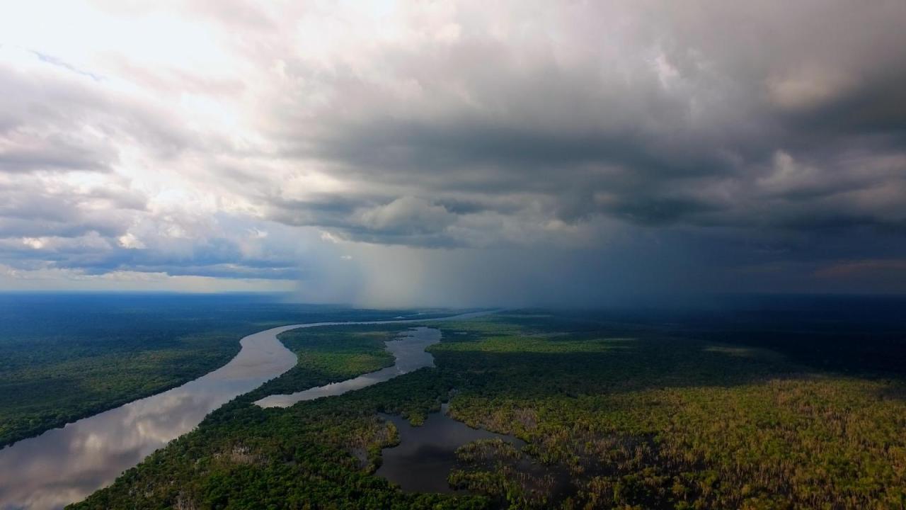 Nespoutaná obloha (1)