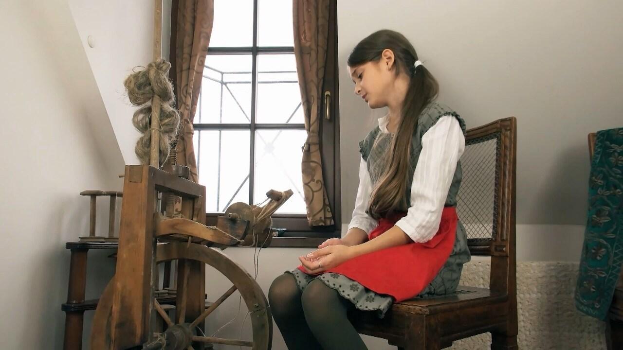 Rozprávky líšky a vlka