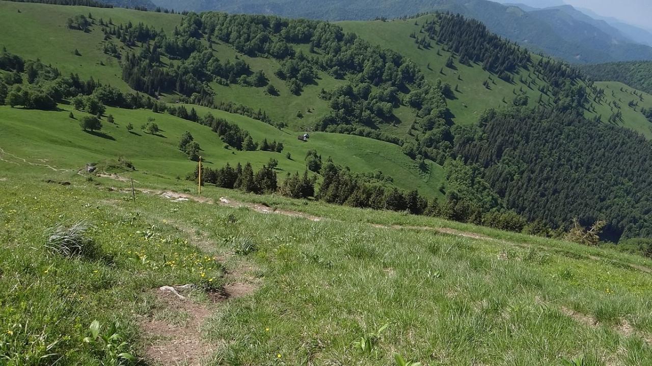 Obrázky z Čertovej doliny / 14.10.2025, 13:25