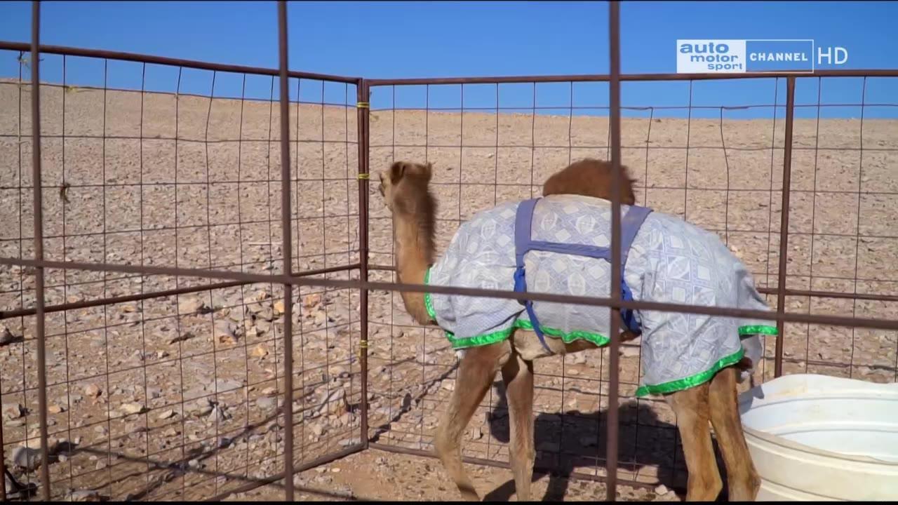 Ománem v pouštním korábu
