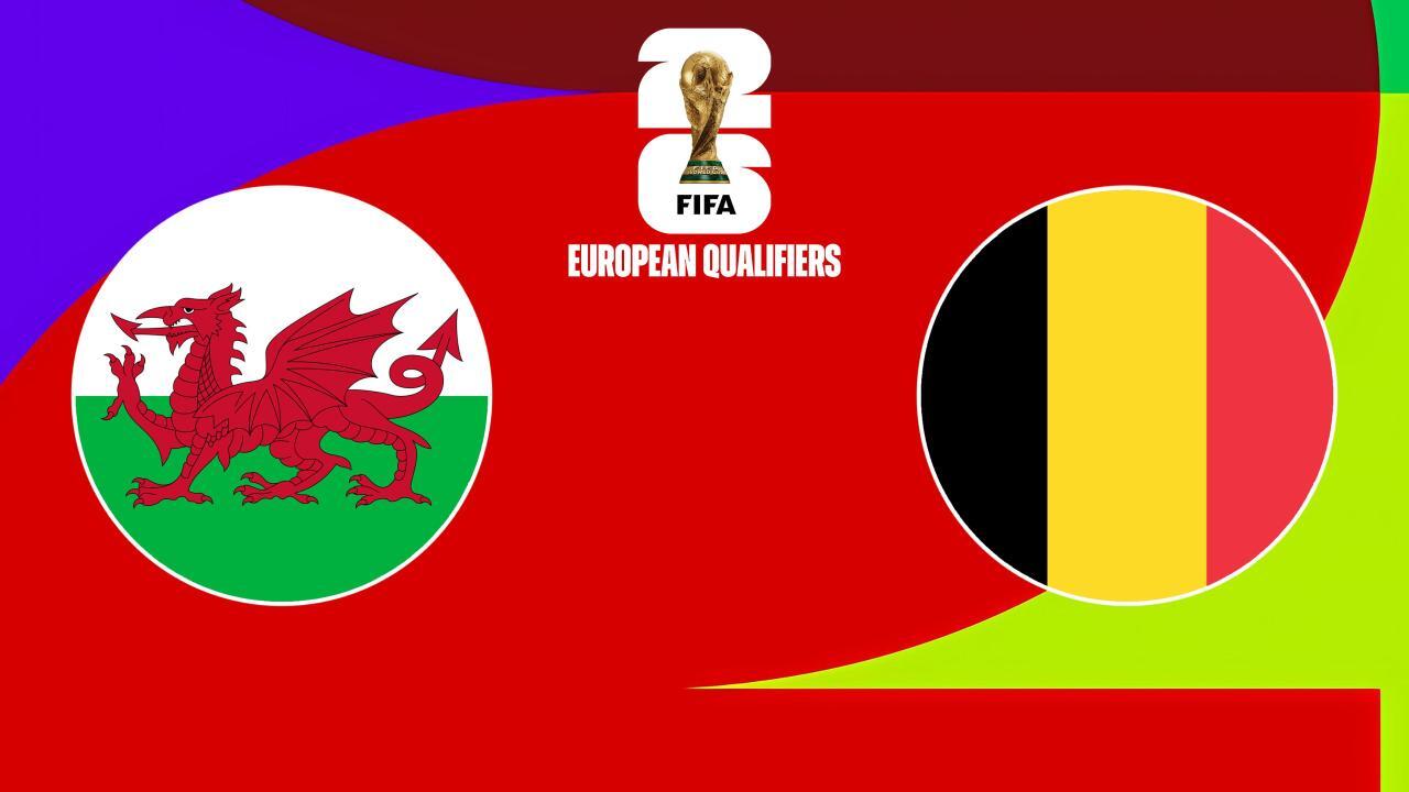 Fotbal: evropské kvalifikace: Wales - Belgie