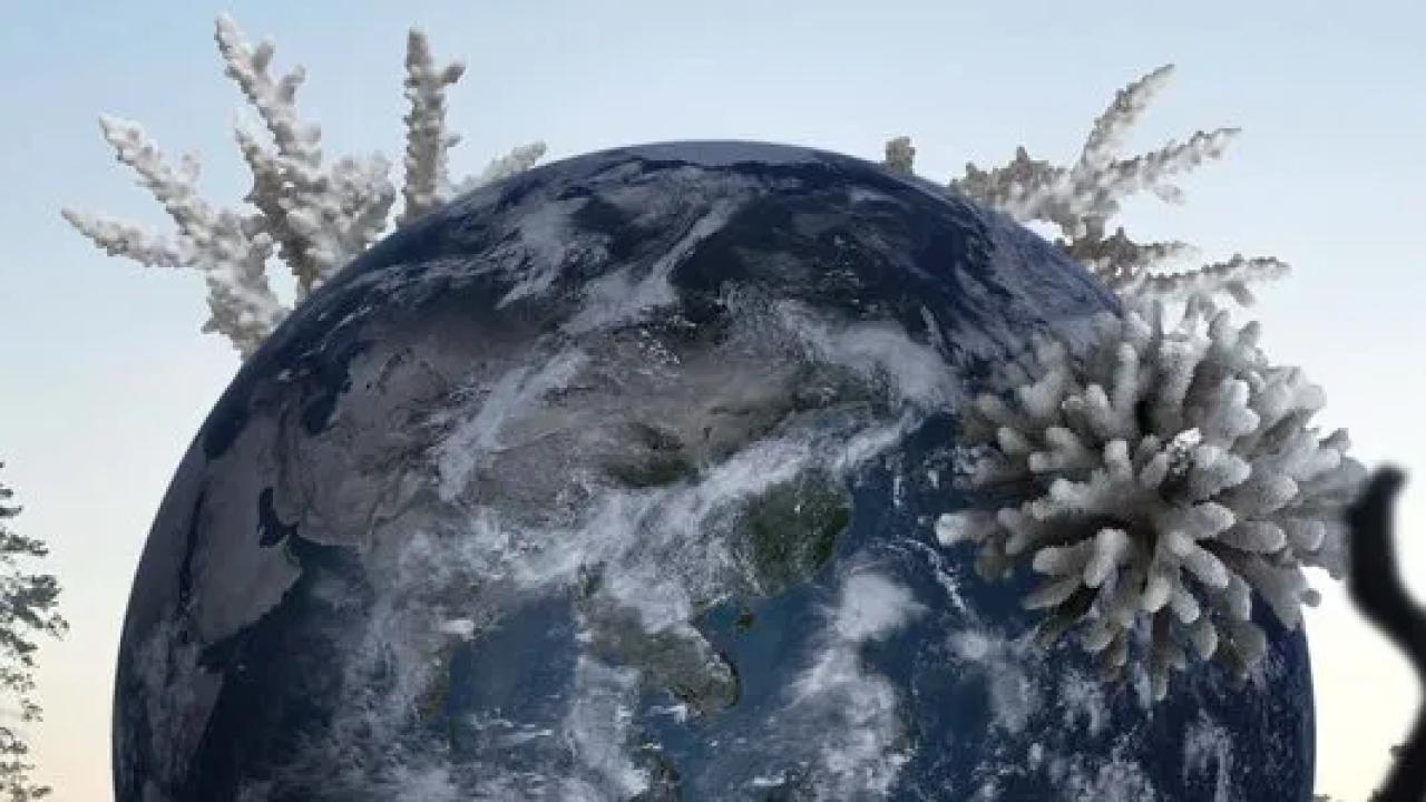 Klimatická krize: Vyhynutí