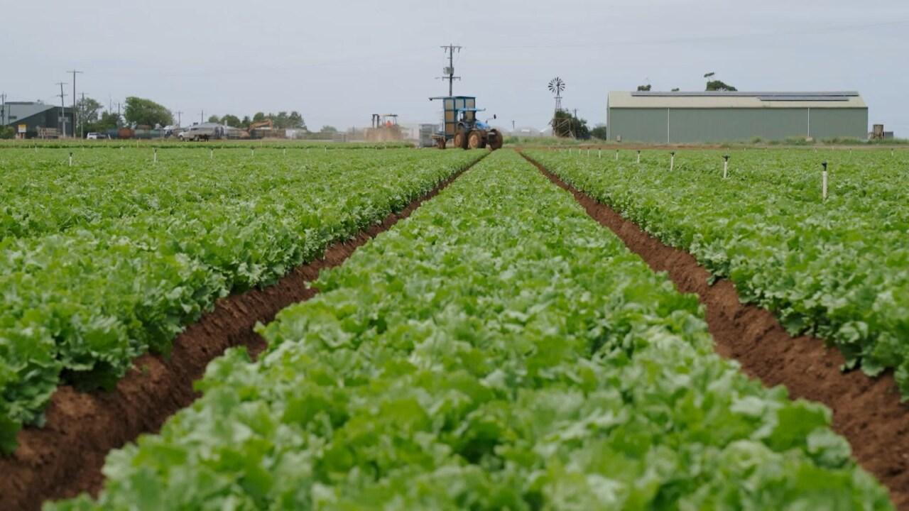 Vesmírni farmári