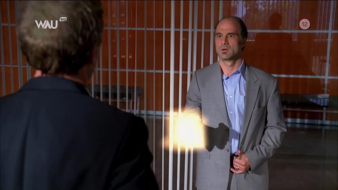 Dr. House: Houseova labutí píseň