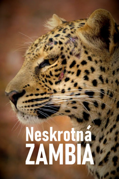 Neskrotná Zambia
