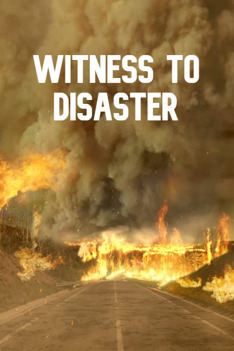 Witness to Disaster