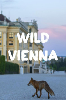 Vídeň a její fauna