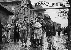 Auschwitz: Countdown to Liberation