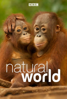 The Natural World