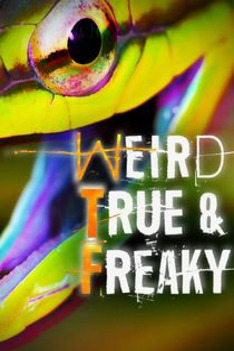 Weird, True & Freaky: Real Monsters