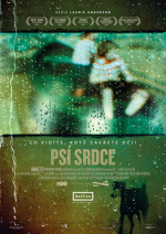 Psí srdce