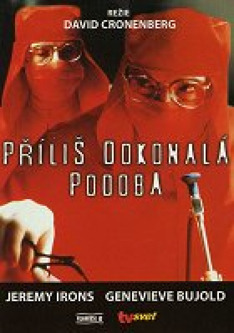 Príliš dokonalá podoba