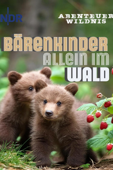 Medvědí bratři Václava Chaloupka