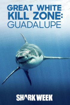 Nebezpečná oblast v Guadalupe