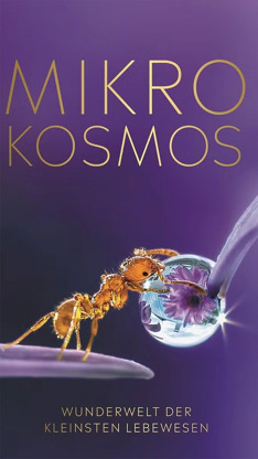 Od makra k mikru: Zázraky světa - Mikrobi: Neviditelní vládci