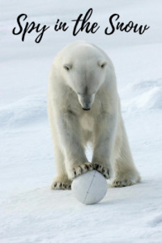 Špión v snehu