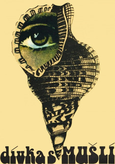 Girl With the Seeshell