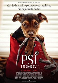 A Dog's Way Home