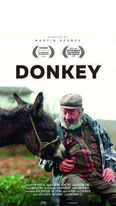 Donkey